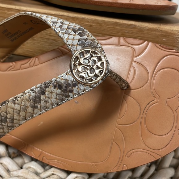 Coach - Picture 10 of 10